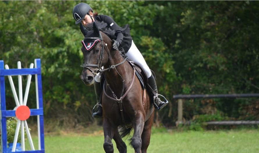 Sportgerät Pferd: Tierquälerei mit Tradition